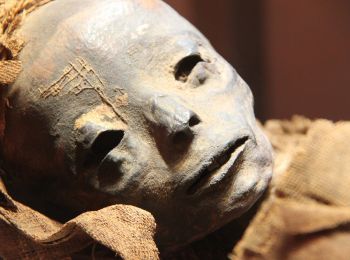 в ходе раскопок в египте нашли мумию с лицом инопланетянина