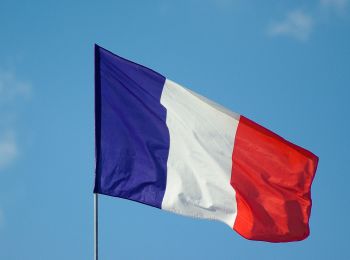 во франции поднимут вопрос о снятии санкций с рф