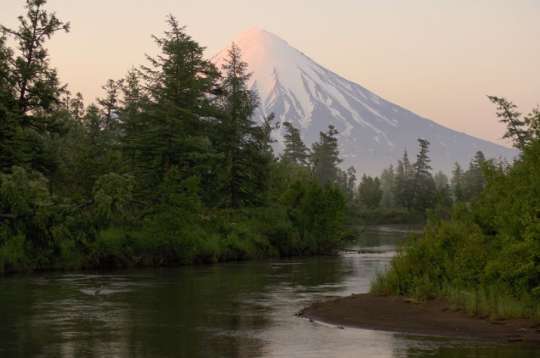 Комитет по экологии ГД одобрил состоящий «из замечаний» законопроект об изъятии природоохранных земель для строительства