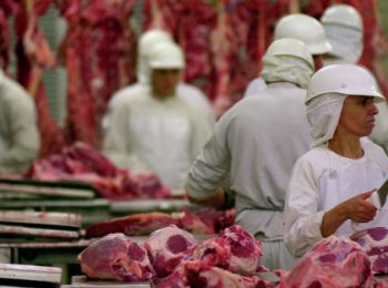россия ввела запрет на поставки молдавского мяса