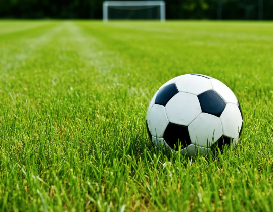 МЯЧ ЗАТАИЛСЯ В СТРИЖЕНОЙ ТРАВЕ - Совершенно Секретно