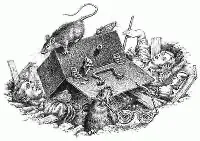 ЧЁРНЫЙ ЯЩИК