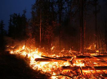 лесные пожары перекинулись из забайкалья в китай