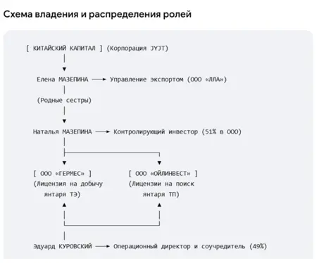 схема.webp роли в проектах Куровского