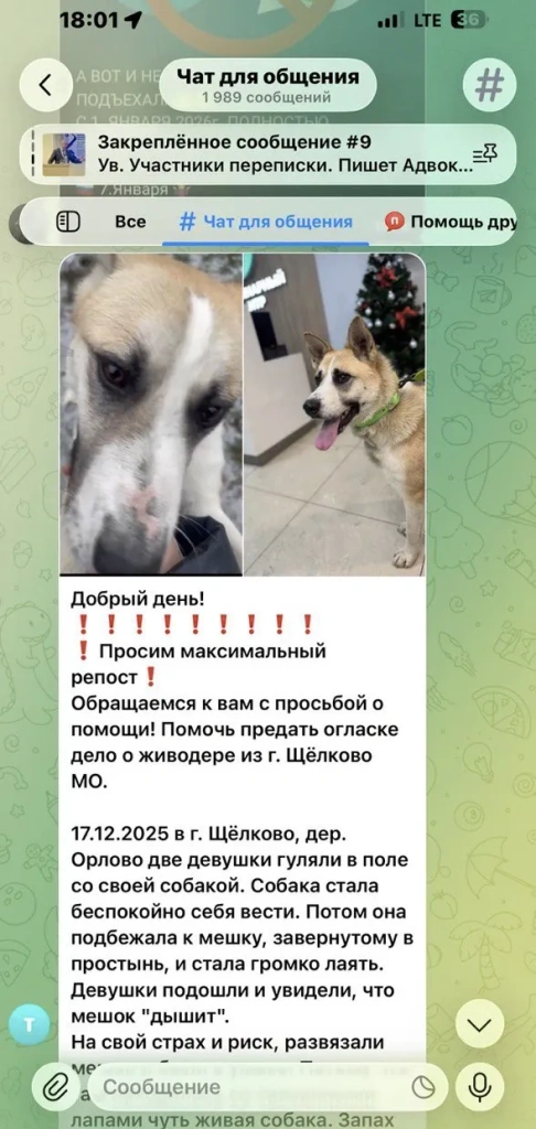 чат 1 сообщения в сетях