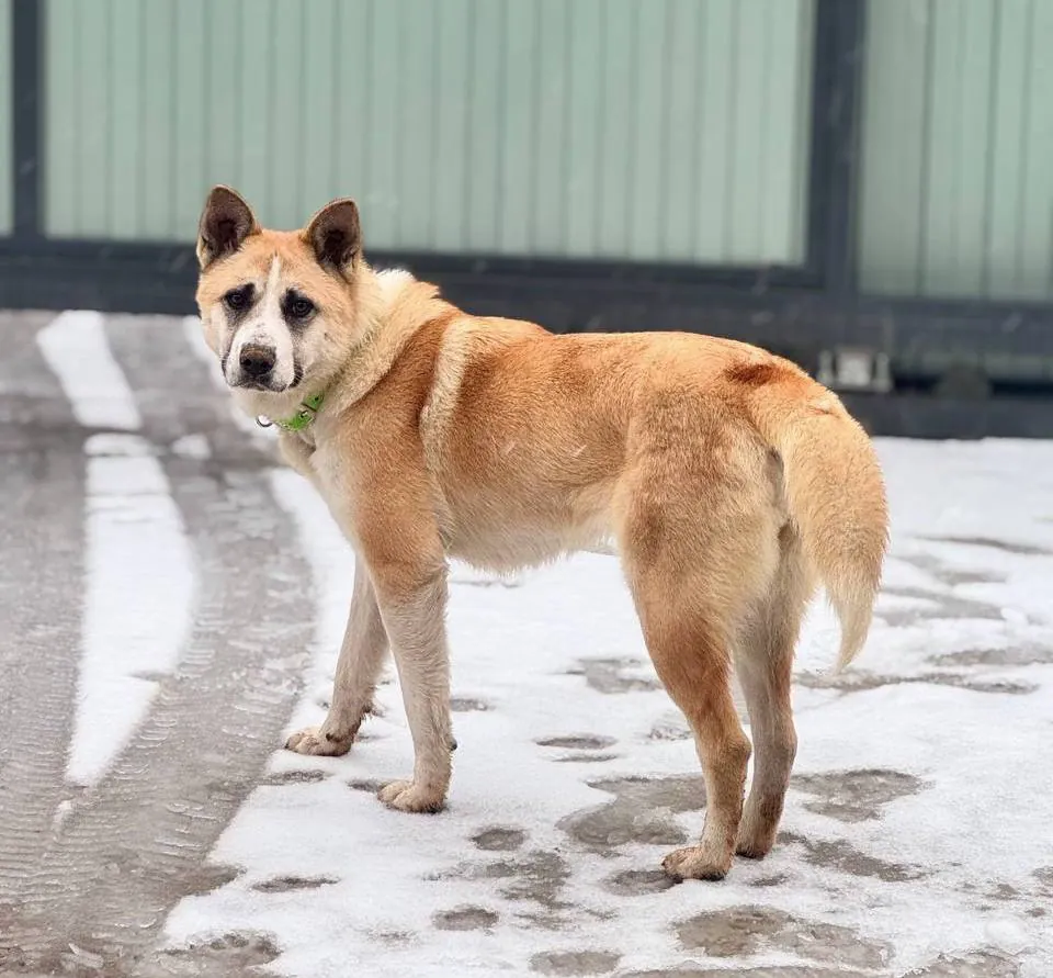 герда герда гуляет