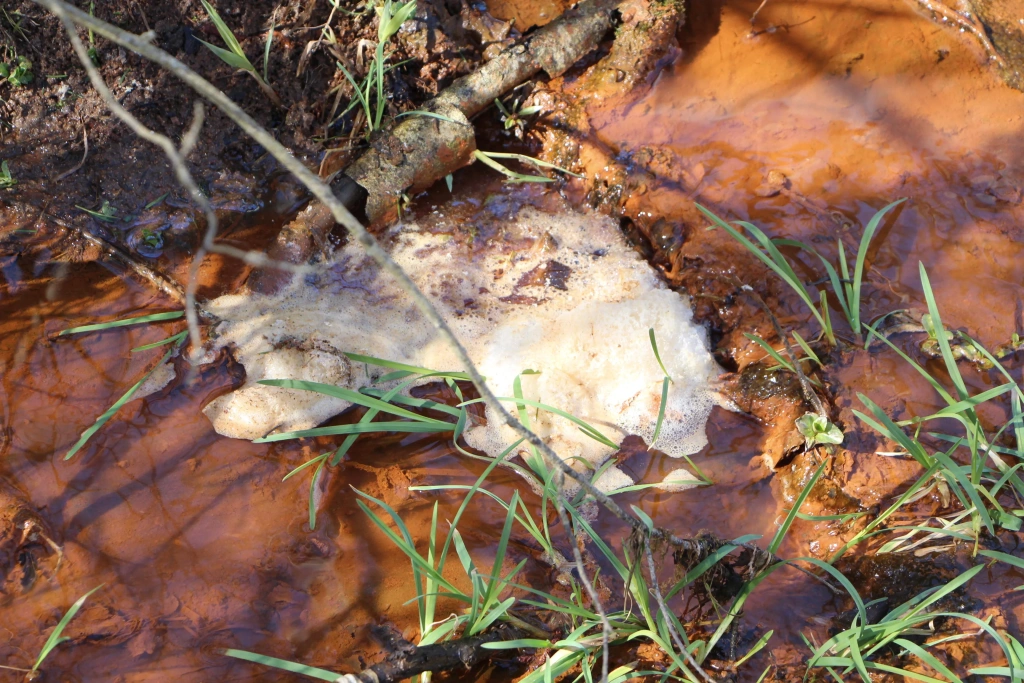 Сточные воды полигона «Ядрово»