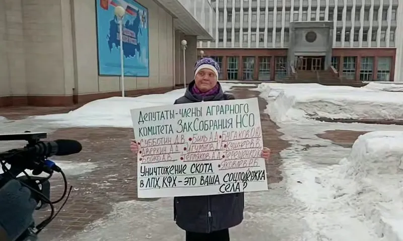 Панина 2 Светлана Панина, село Новоключи