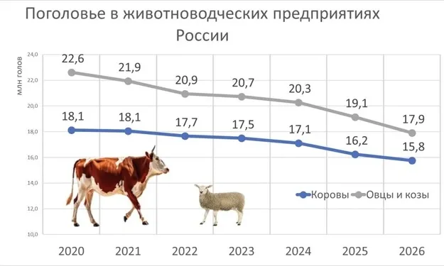 скот снижение поголовья