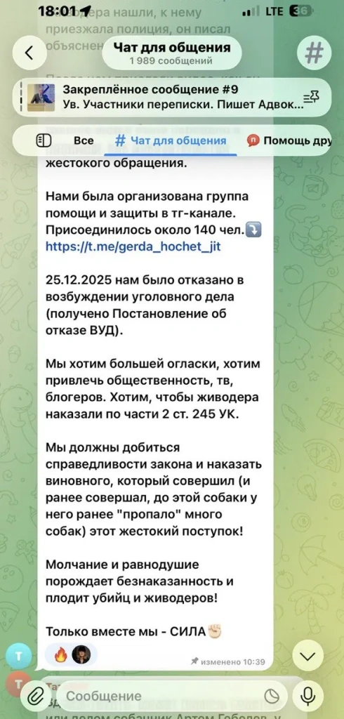 чат 2 сообщения в сетях