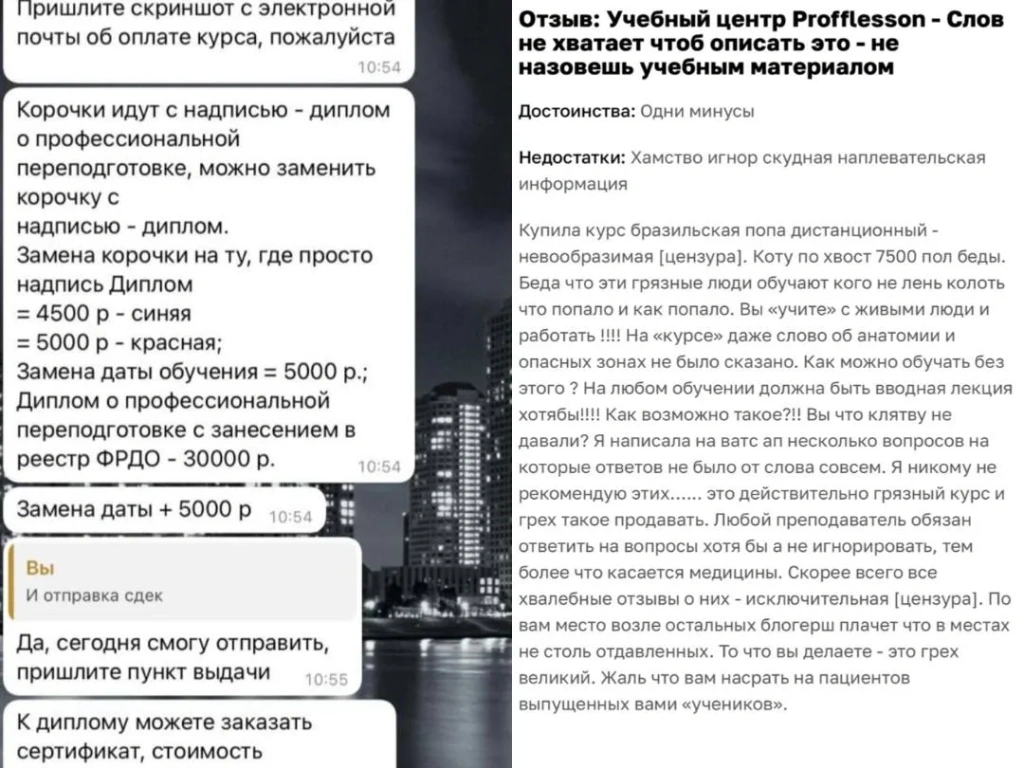 Переписка с Profflesson и отзыв с Отзовика