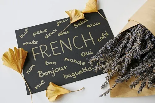 франция 4.webp