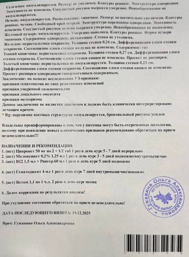 акт осмотр ветеринара