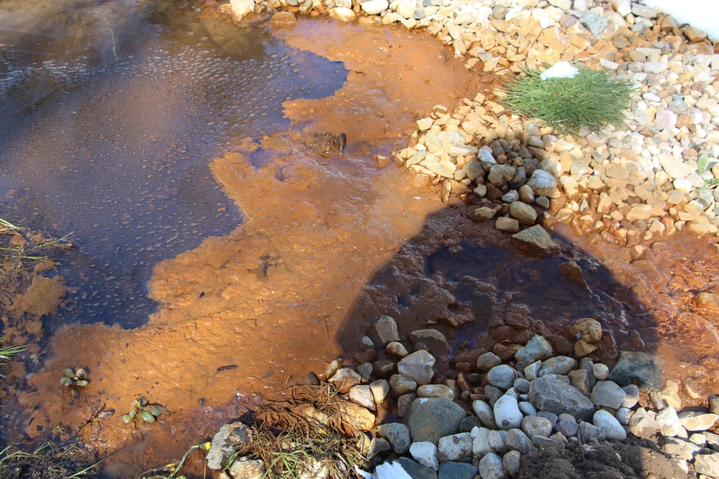 Сточные воды полигона «Ядрово»