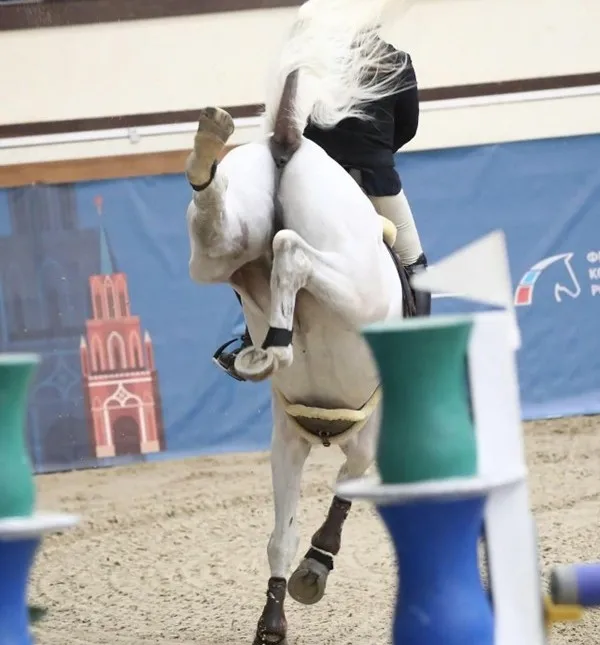 Конкур – баланс между контролем и риском