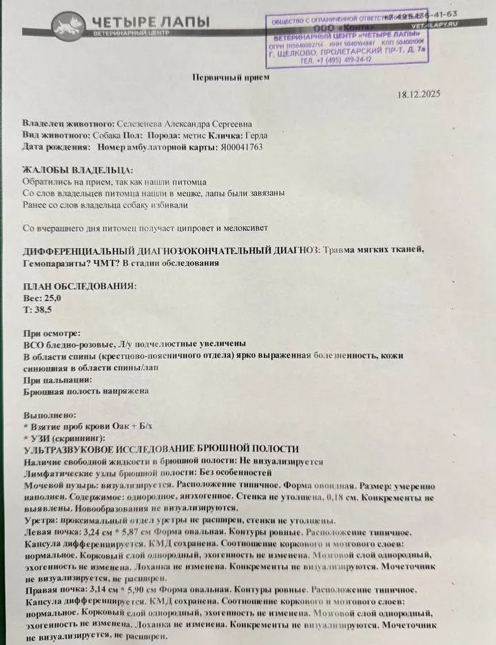 акт осмотр у ветеринара