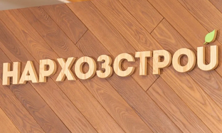 ЧТО НАМ СТОИТ ДОМ НЕ ПОСТРОИТЬ