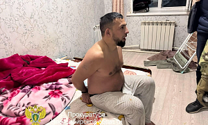 Банду из 11 цыган задержали в Новосибирской области за хищения денег у бойцов СВО