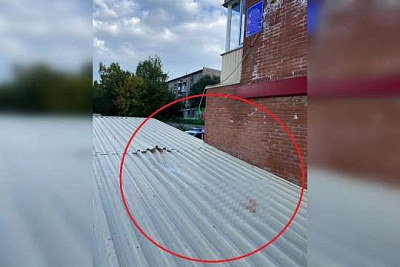 приземлился на крышу пристройки: в новосибирске 7-летний ребенок выжил после падения с 8-го этажа