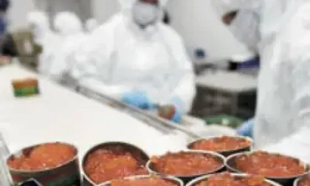 «РУССКОЕ МОРЕ» БЕЗ УЛОВА