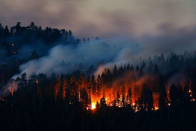 в иркутской области потушены все пожары в лесах