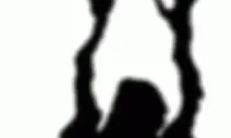 НЕПРАВИЛЬНЫЙ МУЖИК