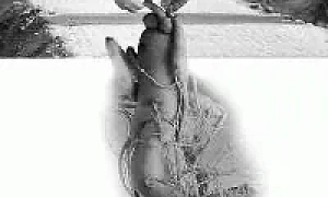 ЗРИ В КОРЕНЬ - «Совершенно Секретно»