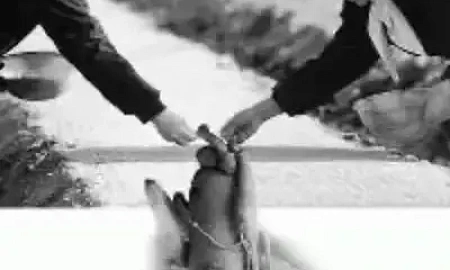 ЗРИ В КОРЕНЬ