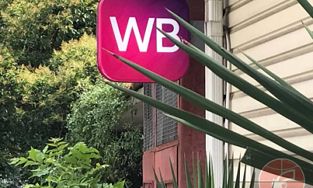 FIREBERRIES: КОГО РАЗОРЯТ УДАРЫ ПО WB