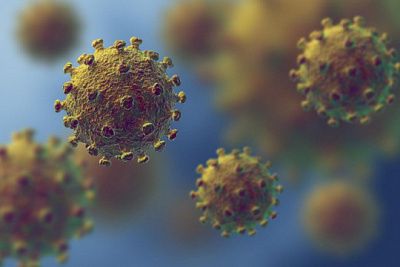 новый штамм коронавируса обнаружили в нигерии
