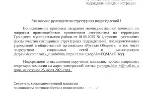 «Русскую общину» признали нежелательной организацией в Челябинской области