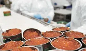 «РУССКОЕ МОРЕ» БЕЗ УЛОВА