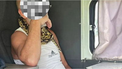 на камчатке пьяный водитель со змеей приехал в гаи, чтобы вернуть права - Сайт Газеты «Совершенно Секретно»