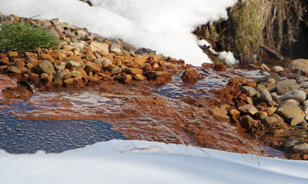 ВРЕД РЕКЕ ИЗ БАССЕЙНА ВОЛГИ ОЦЕНИЛИ В 15 ТЫСЯЧ РУБЛЕЙ