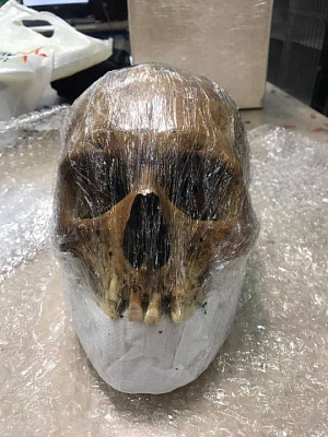 жительница москвы пыталась с помощью самолёта доставить американцу человеческий череп