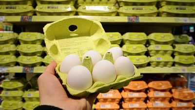 производители яиц и мяса птицы предложили увеличить цены на 10%