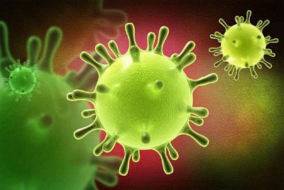 в россии выявили свыше 81 случая заражения британским штаммом коронавируса
