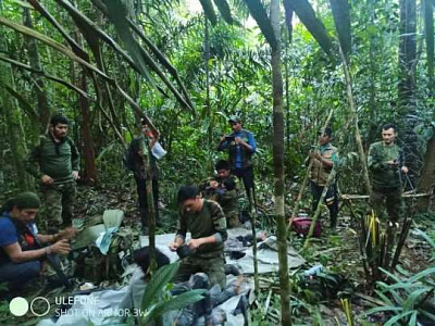 в колумбии четверо детей выжили в авиакатастрофе и 40 дней укрывались в джунглях