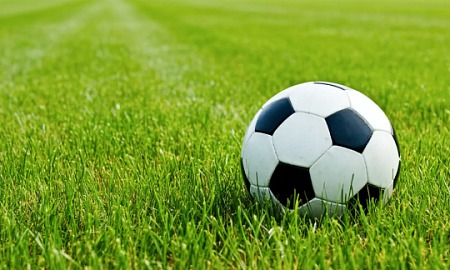 МЯЧ ЗАТАИЛСЯ В СТРИЖЕНОЙ ТРАВЕ